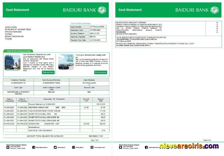 Brunei Baiduri bank card statement